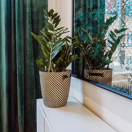 Rzeszowska 5 12 Stylowy Apartment Krakau